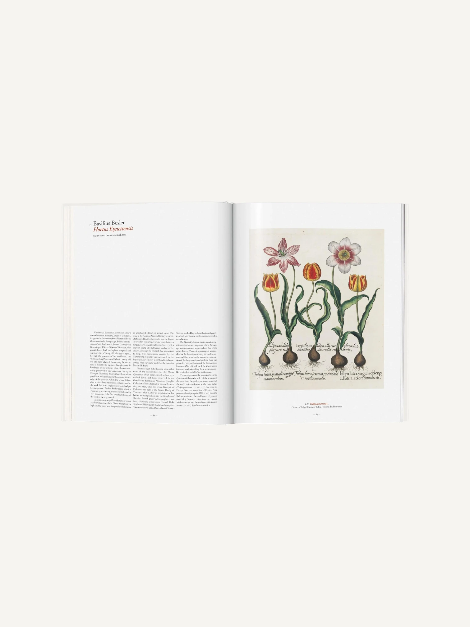 A Garden Eden. Masterpieces of Botanical Illustration