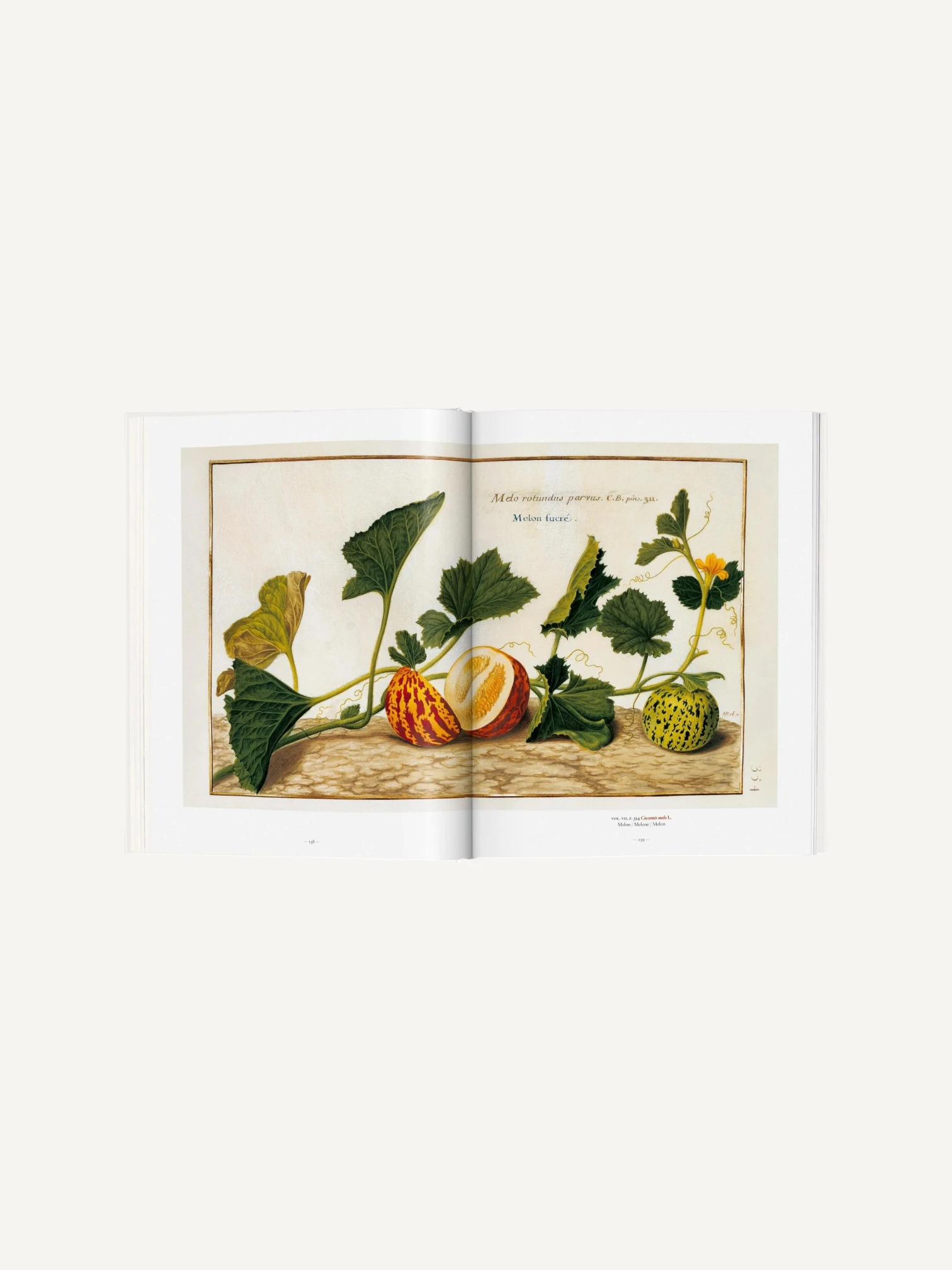 A Garden Eden. Masterpieces of Botanical Illustration