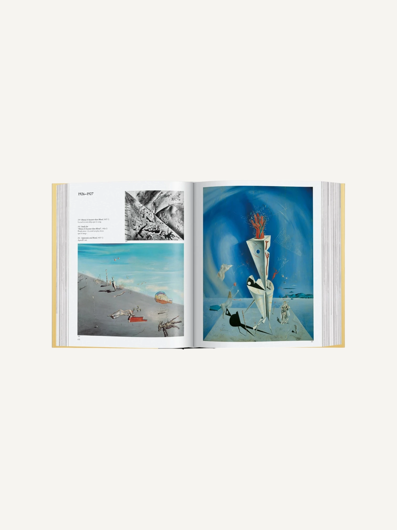 Dalí. La obra pictórica