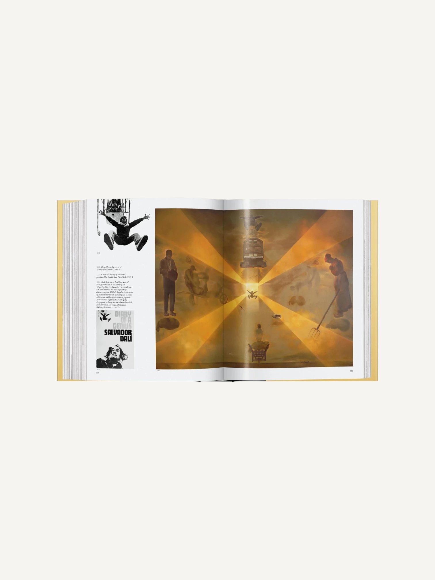 Dalí. La obra pictórica
