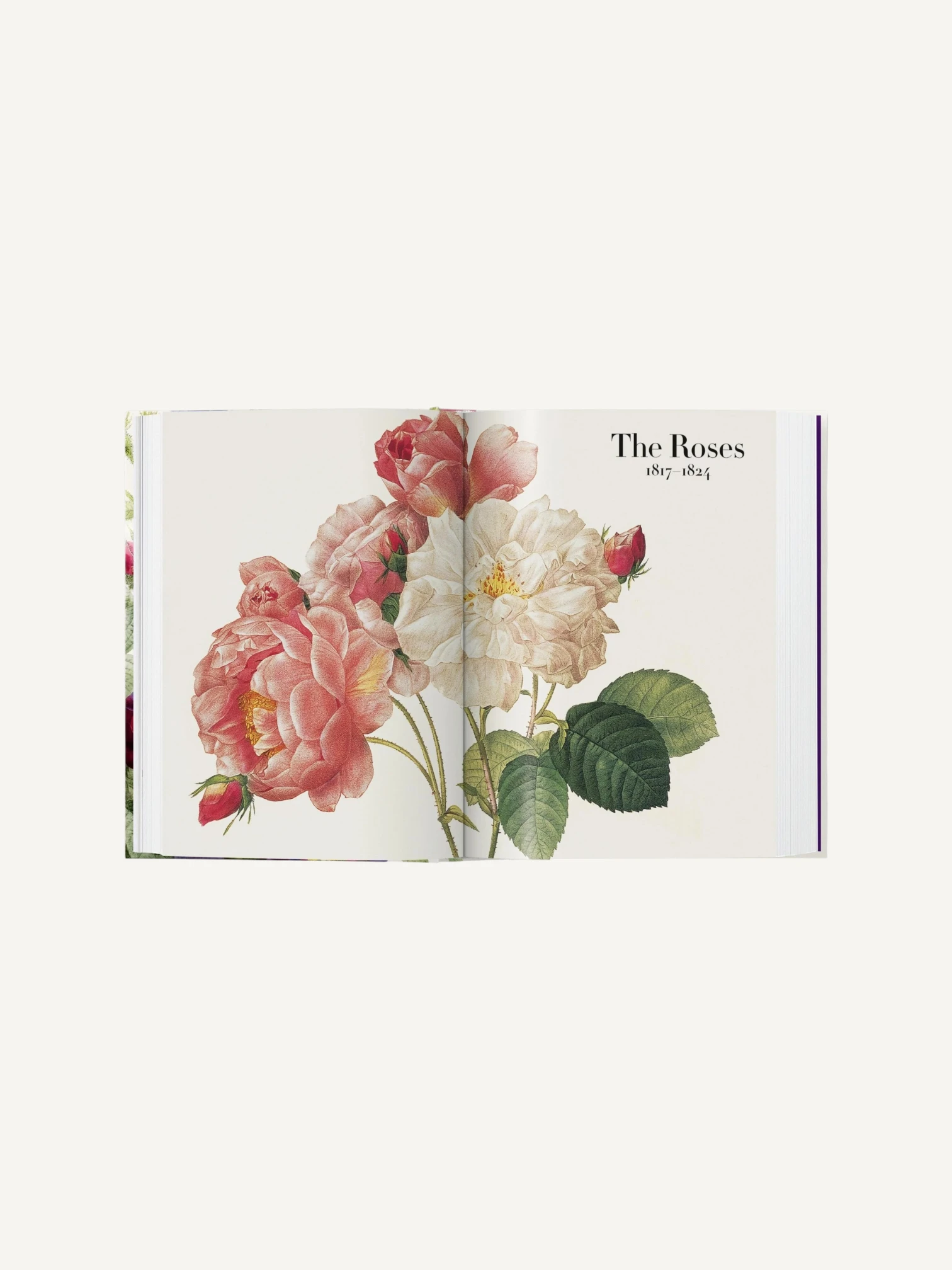 Redouté. The Book of Flowers