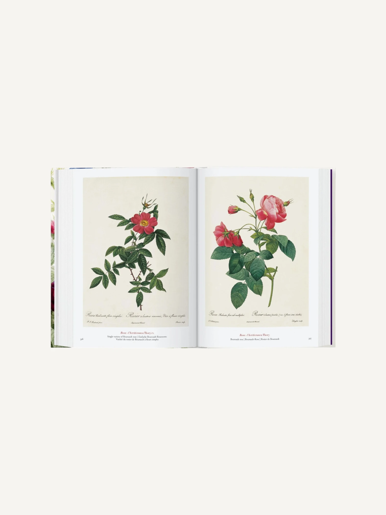 Redouté. The Book of Flowers