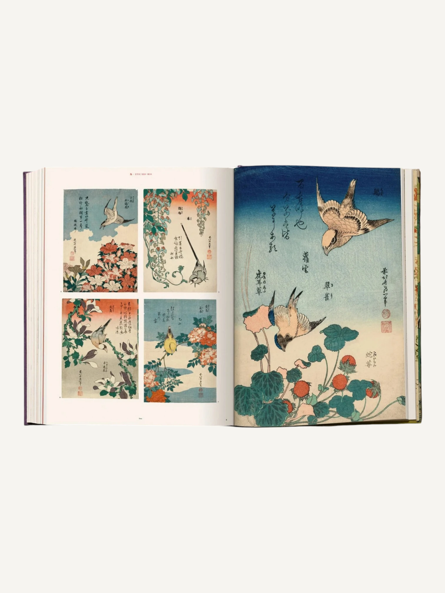 Hokusai