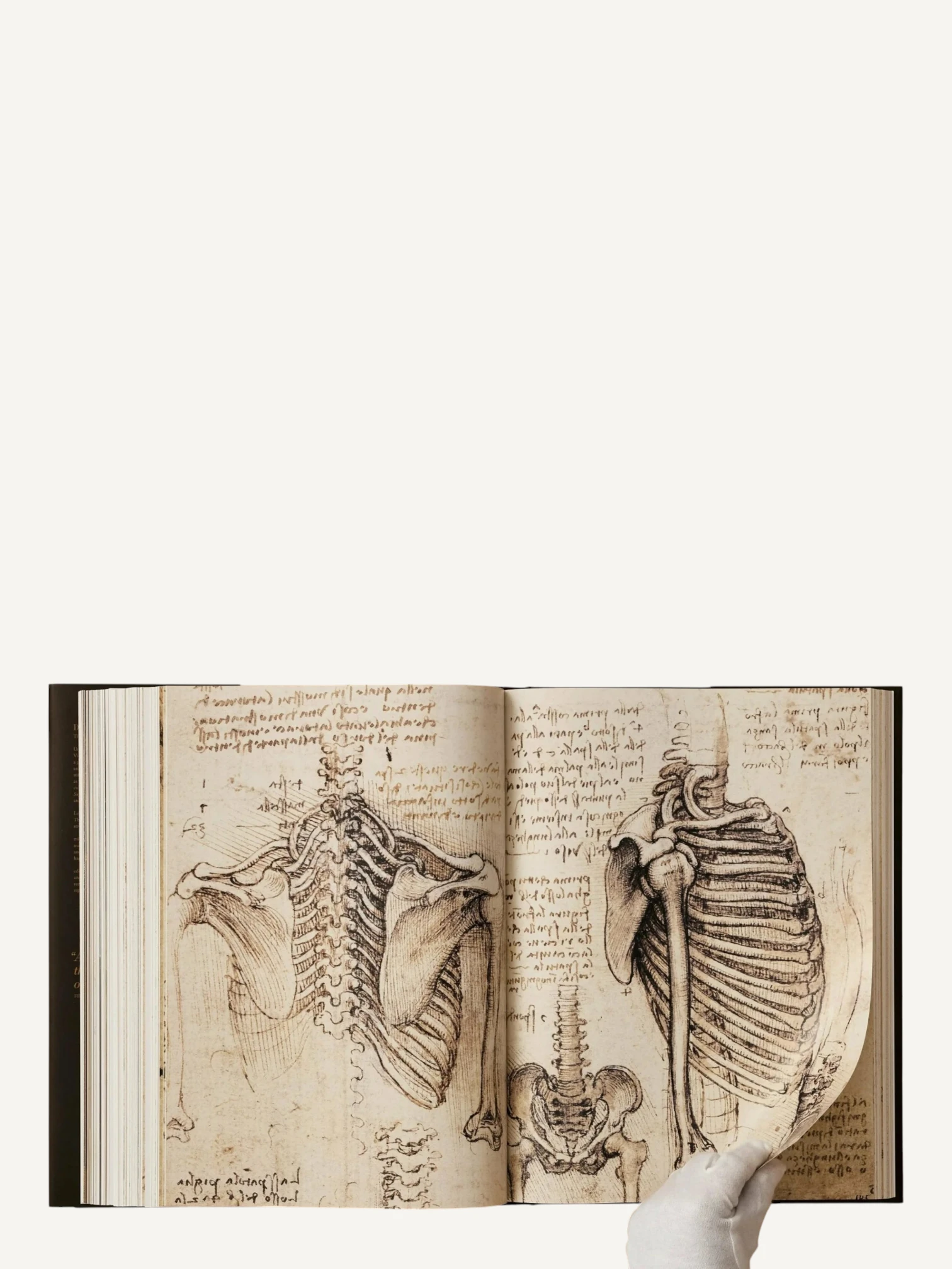 Leonardo. The Complete Paintings and Drawings