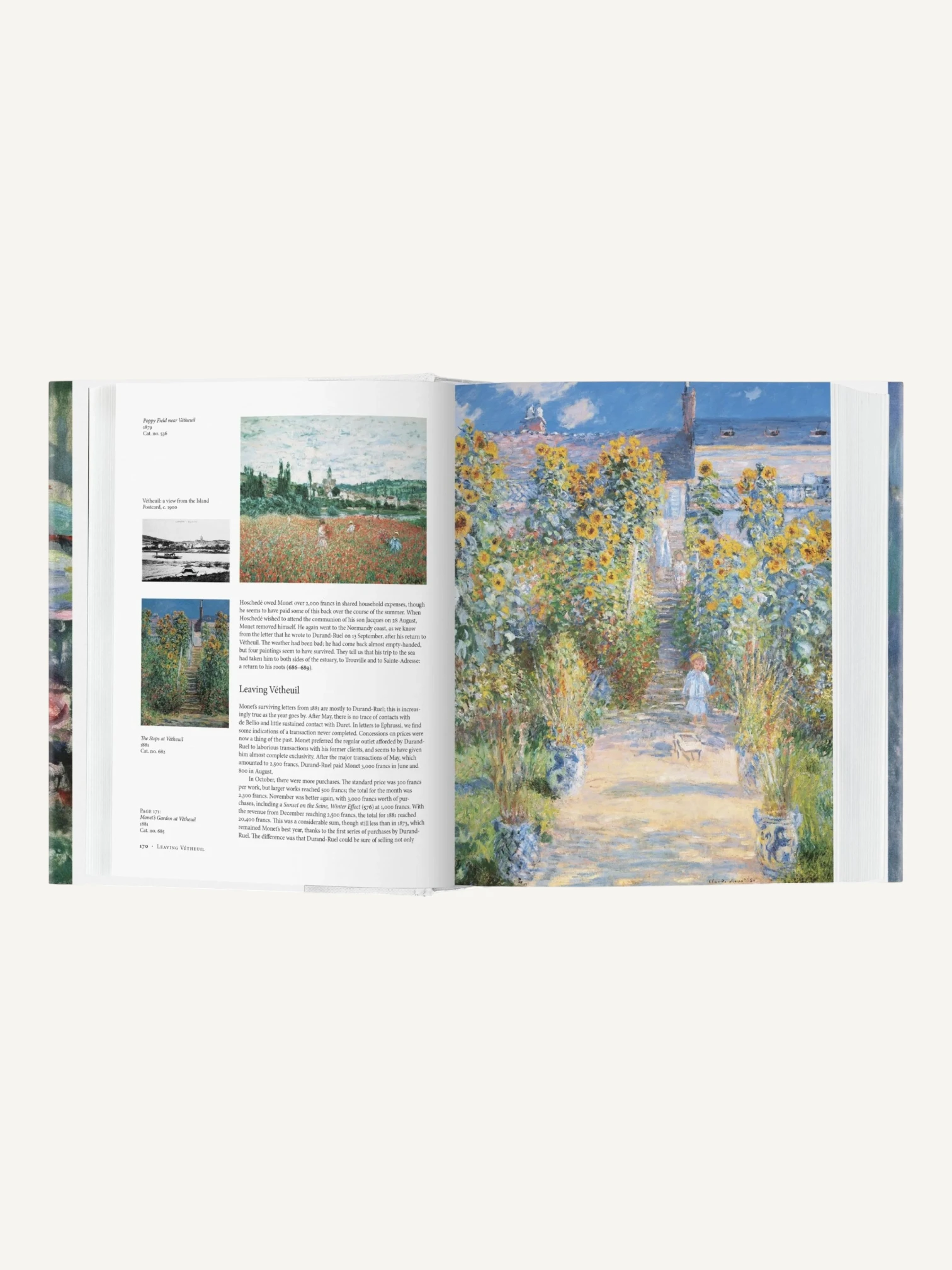 Monet. El triunfo del impresionismo