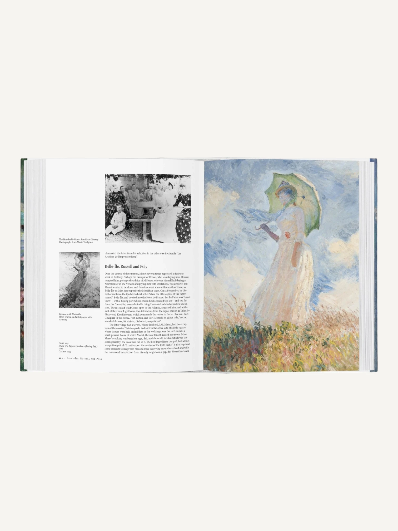 Monet. El triunfo del impresionismo